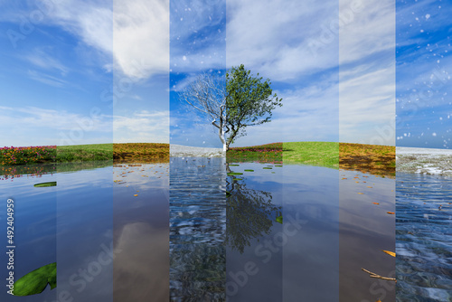Tree by a lake, A collage of season . All seasons in one photo. Winter, spring, summer and autumn. 3D Illustration © Stephen Davies