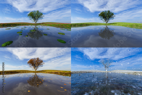 Tree by a lake, A collage of season . All seasons in one photo. Winter, spring, summer and autumn. 3D Illustration © Stephen Davies