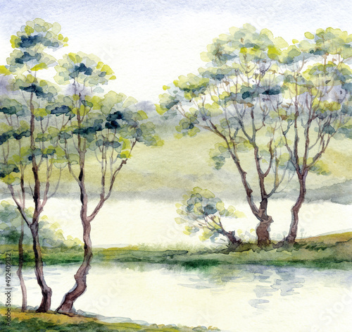 Fototapeta Naklejka Na Ścianę i Meble -  Watercolor landscape. Trees by the lake