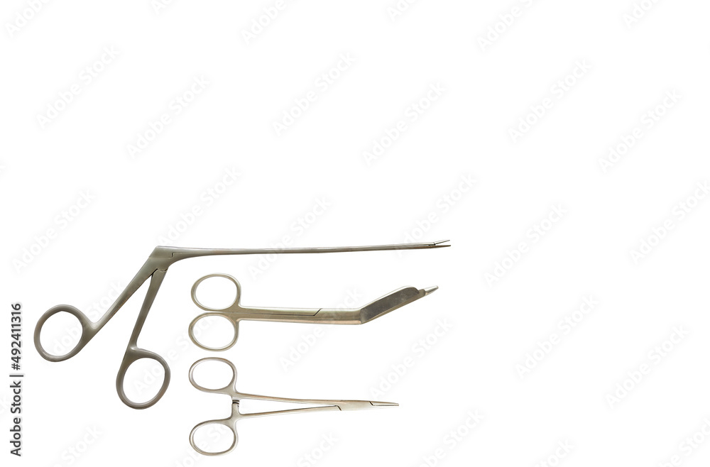 Aligator forceps or crocodile forceps on white isolated background Aligator forceps or crocodile forceps on white isolated background