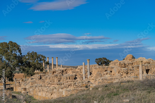 Thuburbo Majus large roman site in northern Tunisia