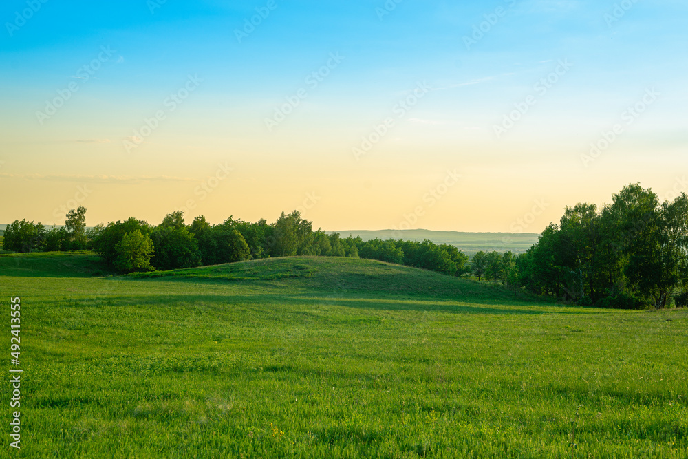 Obraz premium Green meadow, trees and hills Scotland.