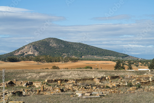 view of Zaghouan mountain in north Tunisia  -Zaghouan governorate - Tunisia  photo