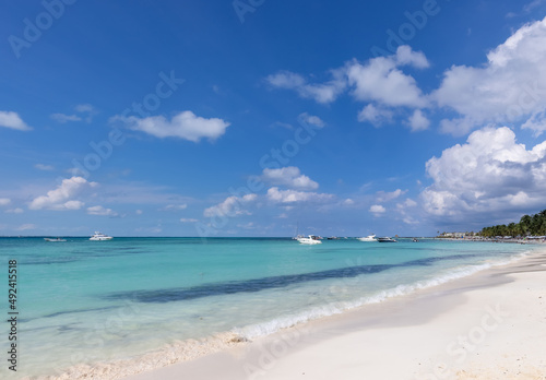 Fototapeta Naklejka Na Ścianę i Meble -  Mexico, Cancun, Isla Mujeres, Playa Norte beach with palms trees and sand waiting for tourists.