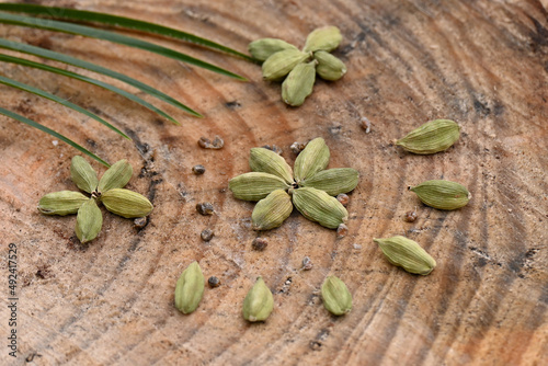 Fototapeta Naklejka Na Ścianę i Meble -  closeup the bunch green ripe cardamom with brown beans over out of focus wooden background.