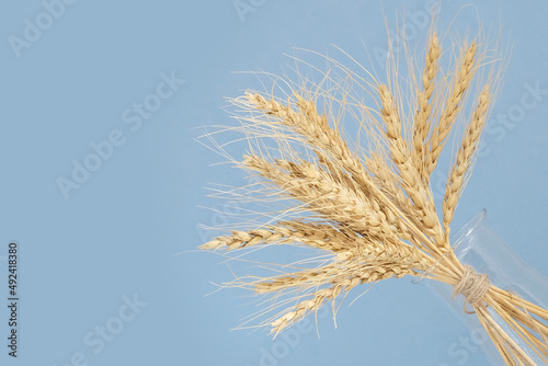 ears of wheat