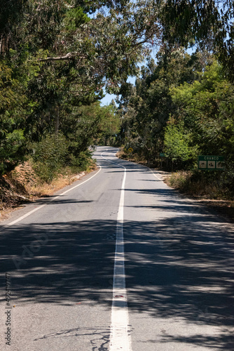 Road to Chanco, Maule, Chile. 
A freeway with trees on its sides photo