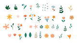 Boho floral collection. Bohemian nature design. Flowers, grass and leaves. Minimal set for nursery. Vector illustration