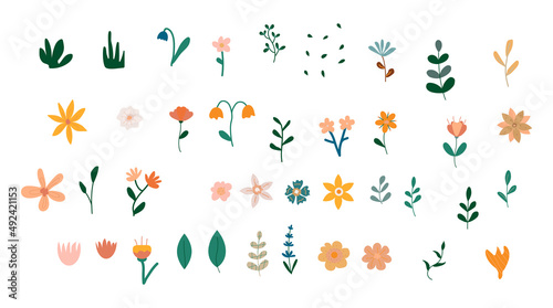 Boho floral collection. Bohemian nature design. Flowers, grass and leaves. Minimal set for nursery. Vector illustration