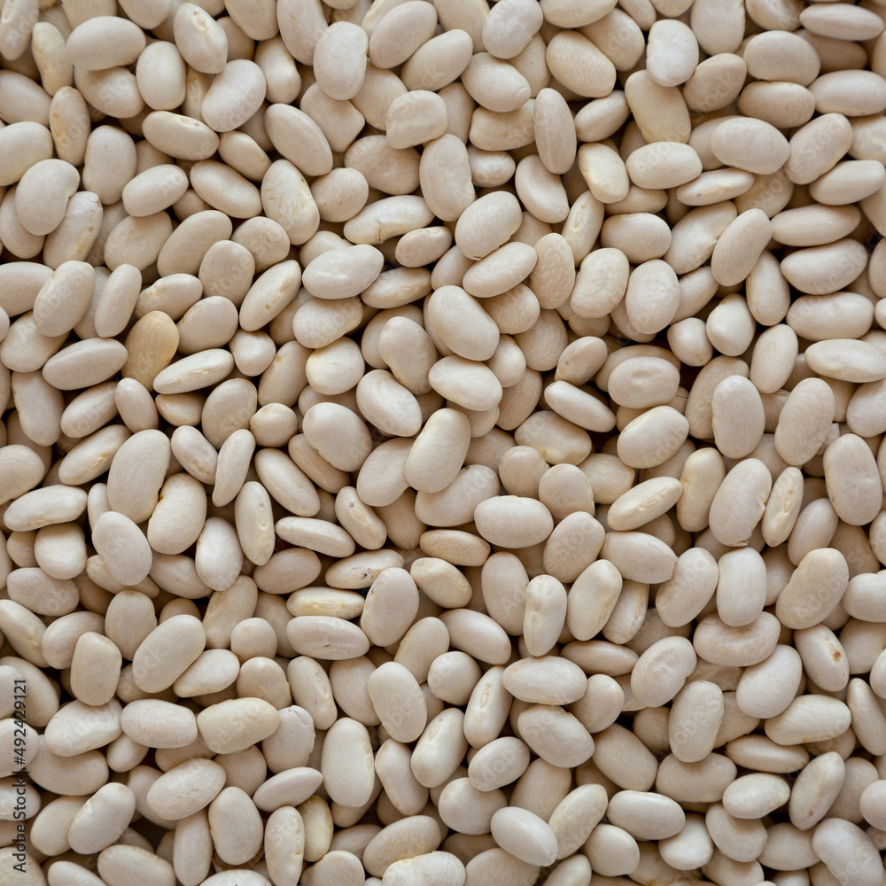 Raw Organic Dry White Beans Background