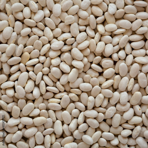 Raw Organic Dry White Beans Background