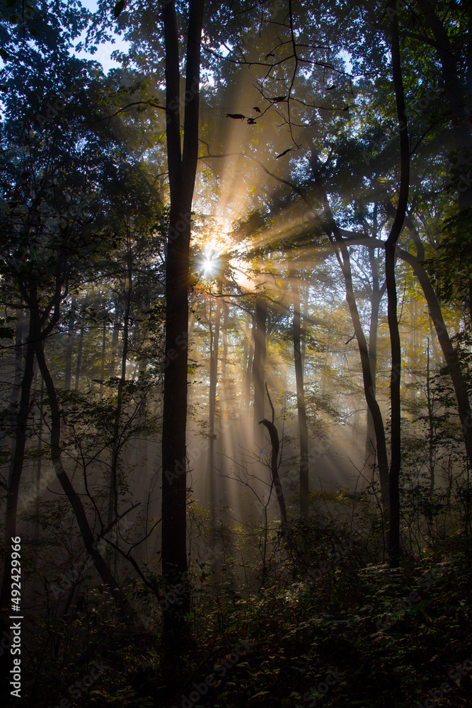 Obraz premium sunrise