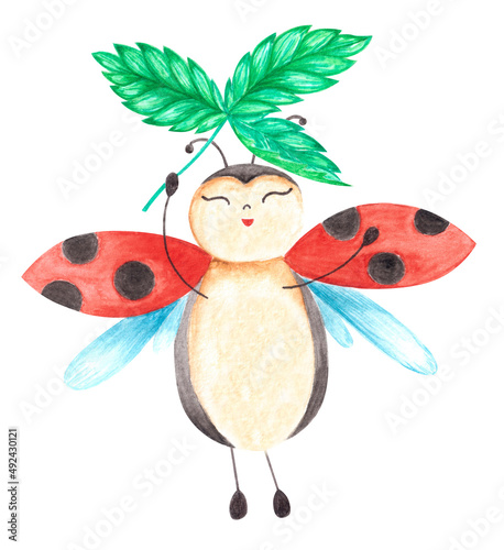 Watercolor hand drawn summer  illustration of lady bird with spotted wings flying smiling holding carved strawberry leaf. Isolated on white background