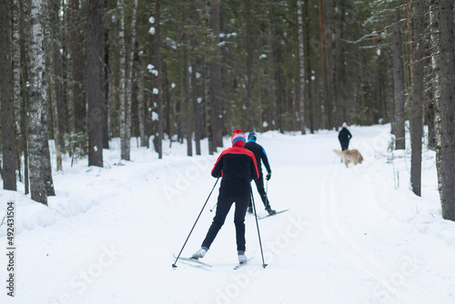 Cross country Skilling. A skier goes skiing on the ski track.