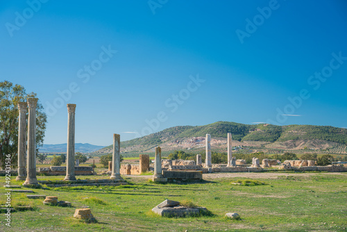 Thuburbo Majus large roman site in northern Tunisia photo