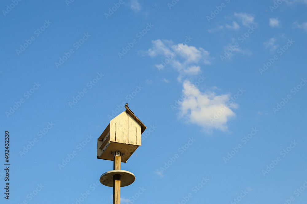 Birds perching on the bird house. Birds perching on the bird house.