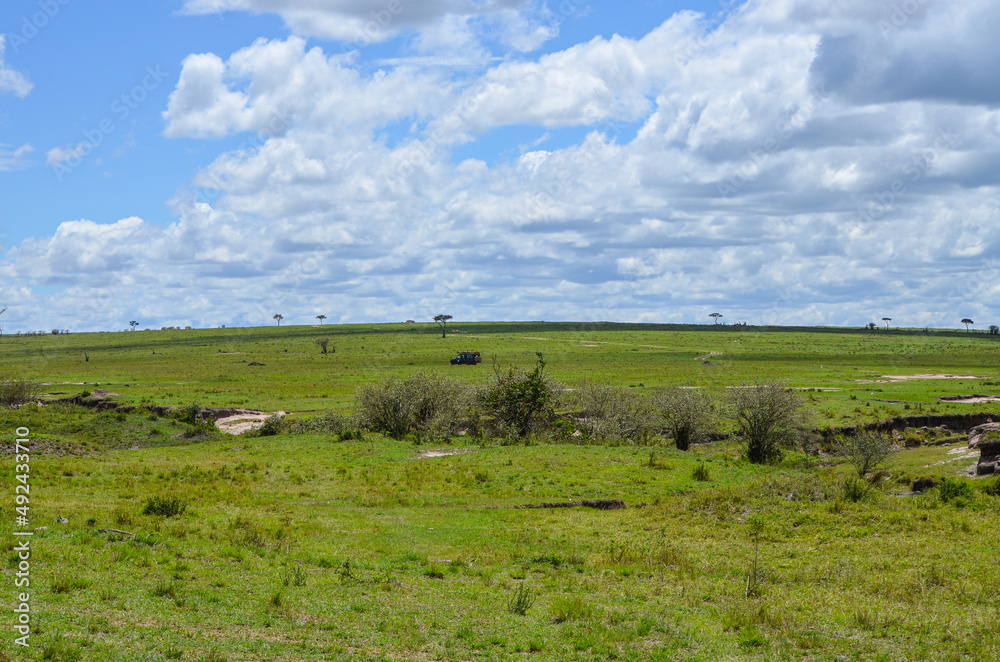 Fototapeta premium Natural landscape of kenya, Masai Mara National Park, Kenya, Africa