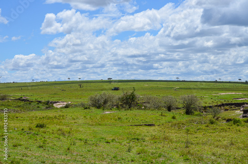 Natural landscape of kenya, Masai Mara National Park, Kenya, Africa