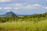 Hills in the savannah in the tsavo East, Kenya, africa