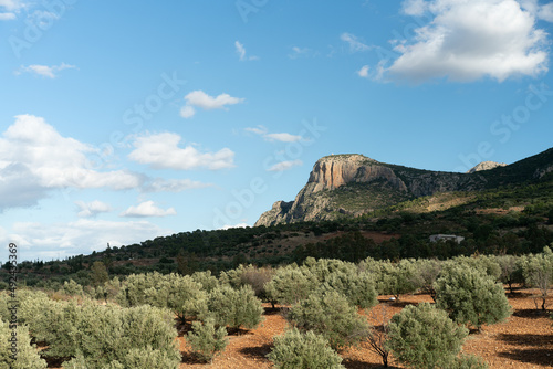 view of Zaghouan mountain in north Tunisia -Zaghouan governorate - Tunisia 