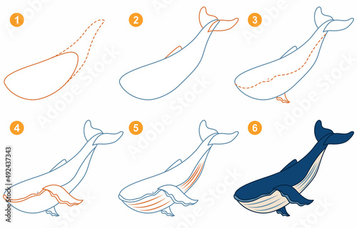 Instructions for drawing whale. Step by step.