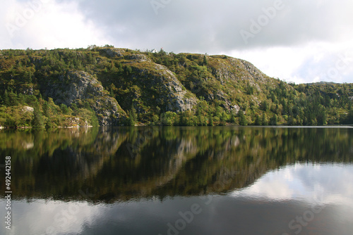 reflection of trees in water