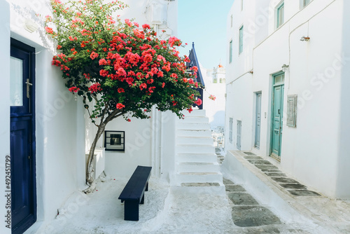 Old town narrow street with white houses and Bougainvillea flower. Mykonos island, Greece.