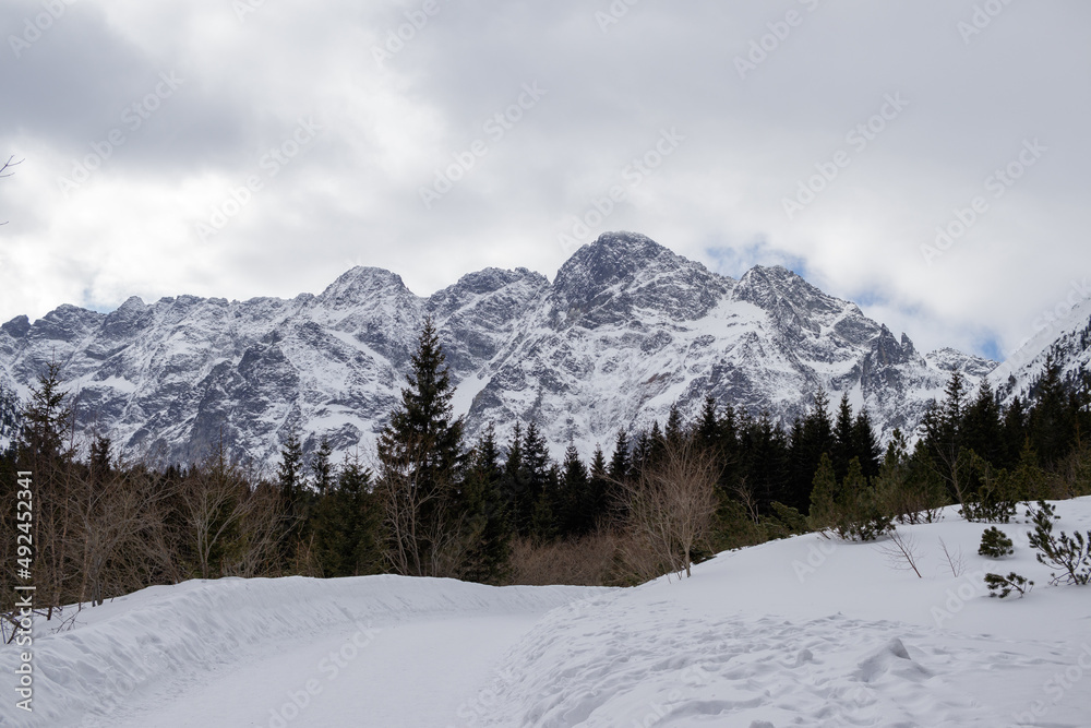 snowy mountains
snowy mountains