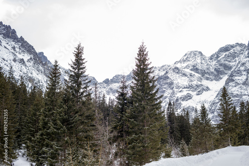 snowy mountains
