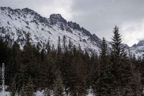 snowy mountains 