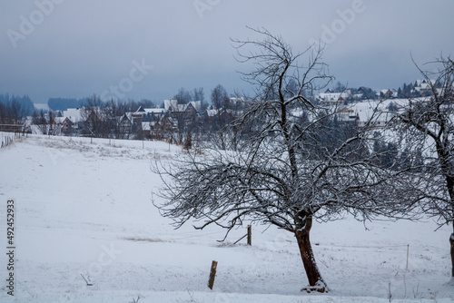 snowy mountains
