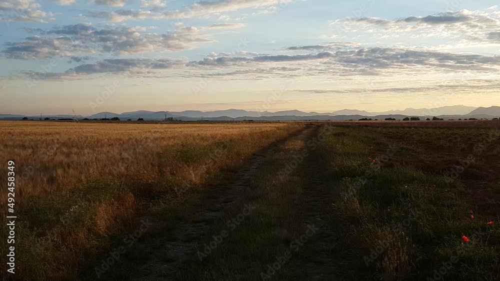 balade dans la campagne de Provence au coucher du soleil - France balade dans la campagne de Provence au coucher du soleil - France