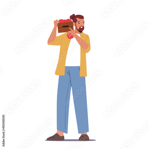 Male Farmer Carry Apples Harvest in Wood Box in Orchard. Gardener Character Harvesting Ripe Fruits in Garden