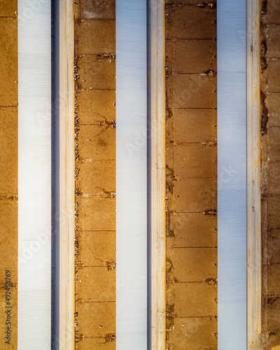 Aerial Shot of Large Cattle raising facility with rows of Calf Pens  photo