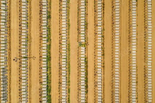 Aerial Shot of Large Cattle raising facility with rows of Calf Pens 