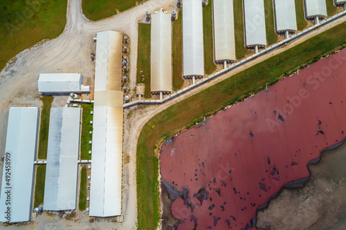 Aerial View of Large Scale Dairy Farm photo