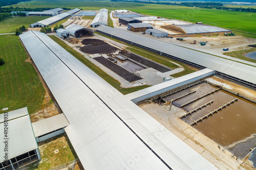 Aerial View of Large Scale Dairy Farm photo