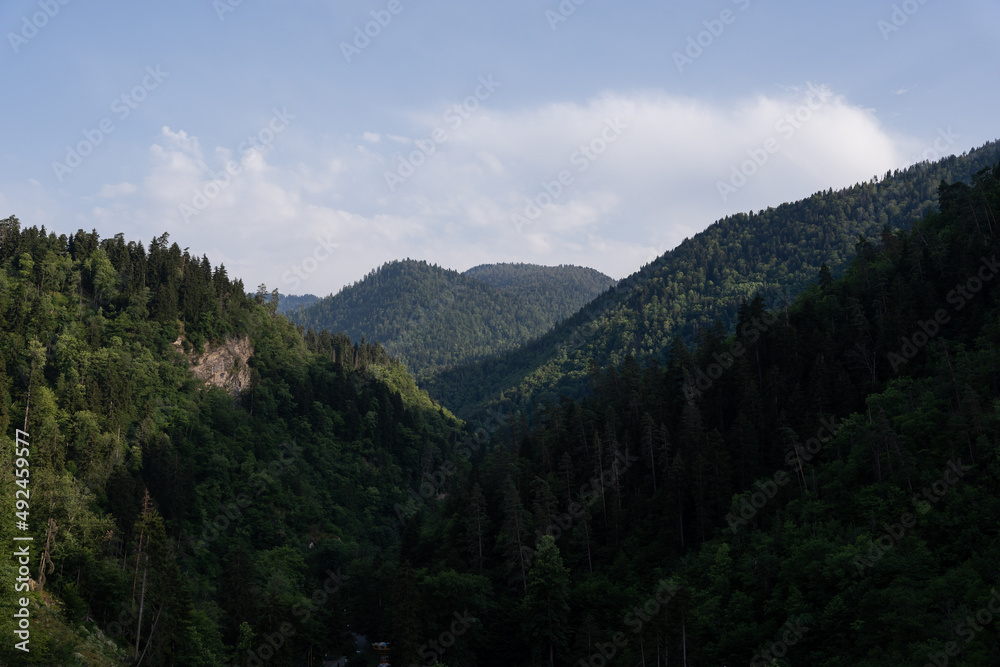Mountain view of Georgia in the village of Borjomi with beautiful blue skies and dark green tree-covered mountains