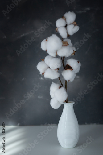 Wallpaper Mural White vase and cotton branch on white  table and on gray wall. Natural light from the window. Torontodigital.ca