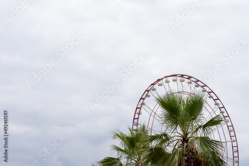 a green palm tree behind which is a Ferris wheel set against a blue sky background