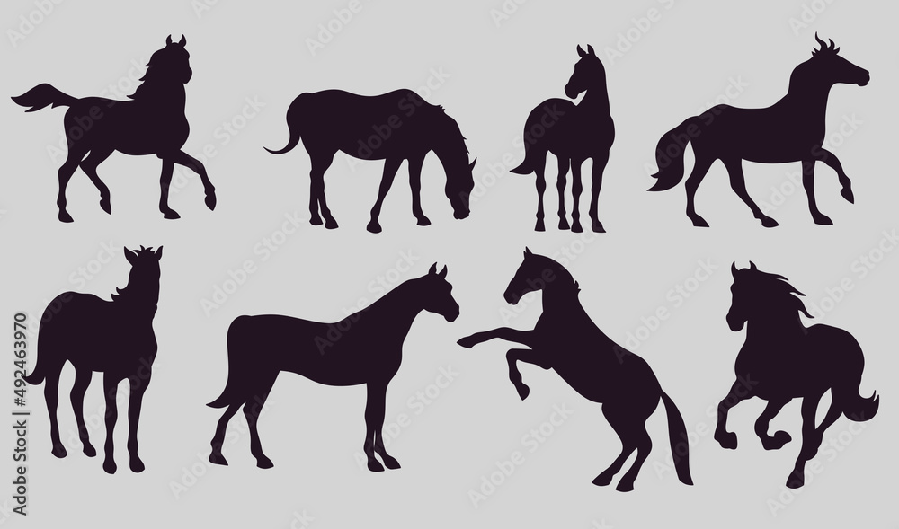 set of animals silhouettes. elements set isolated on white.  Horse