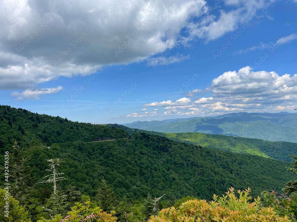 A mountain valley, Maggie Valley North Carolina