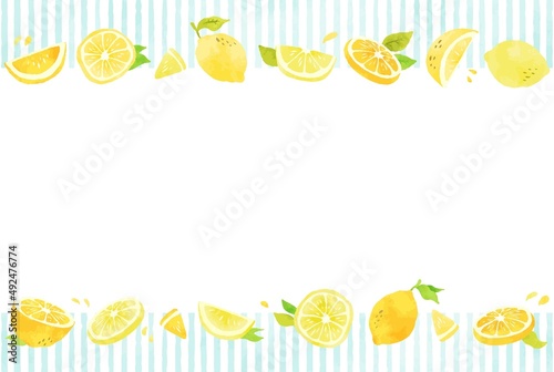 beautiful　lemon　frame　illustration