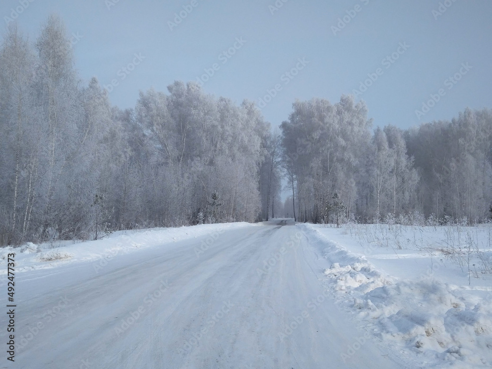 Fototapeta premium winter road in the forest for driving cars between trees in the snow
