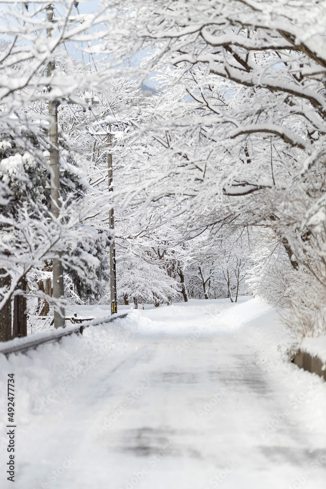 Fototapeta premium snow covered road