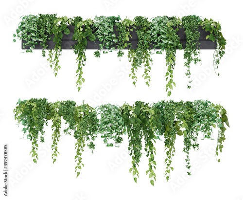 Isometric hanging plant potted 3d rendering photo