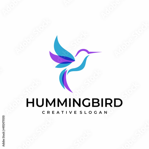 Hummingbird logo design vector template
