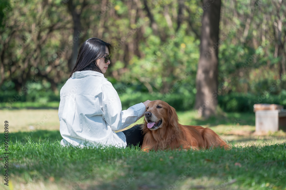 Golden Retriever accompanies owner on grass in park