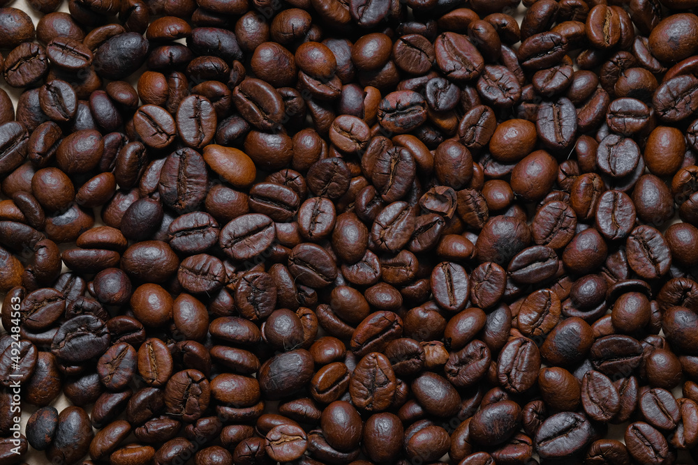 Obraz premium Coffee beans for background and space for text