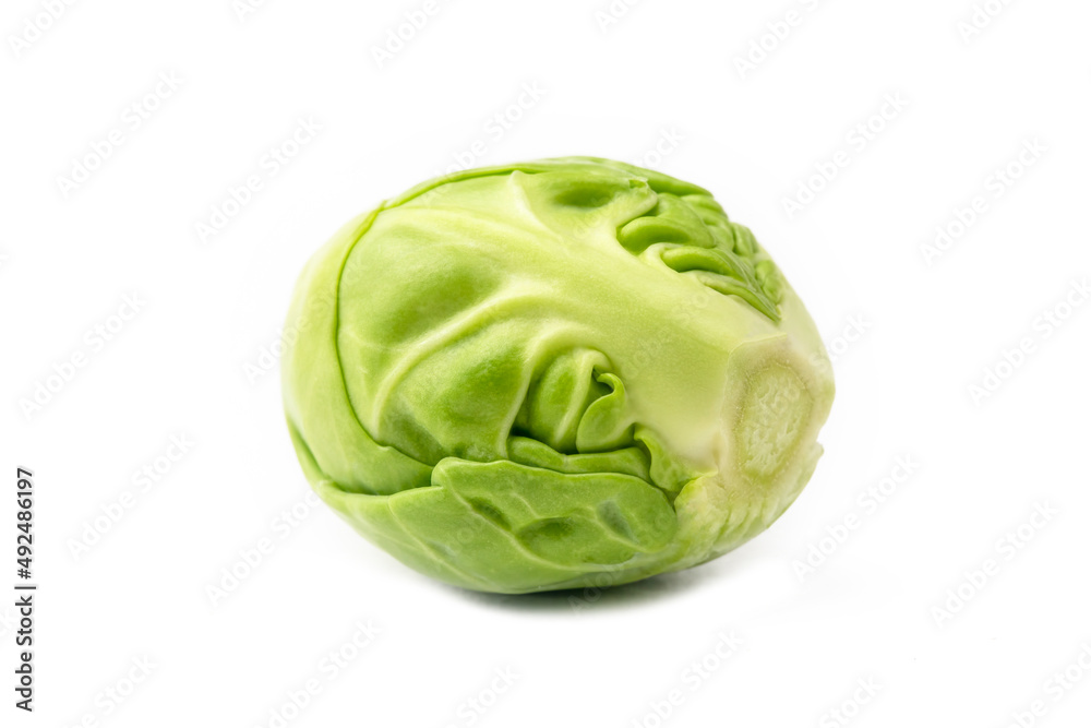 Fototapeta premium Single brussels sprouts on a white background